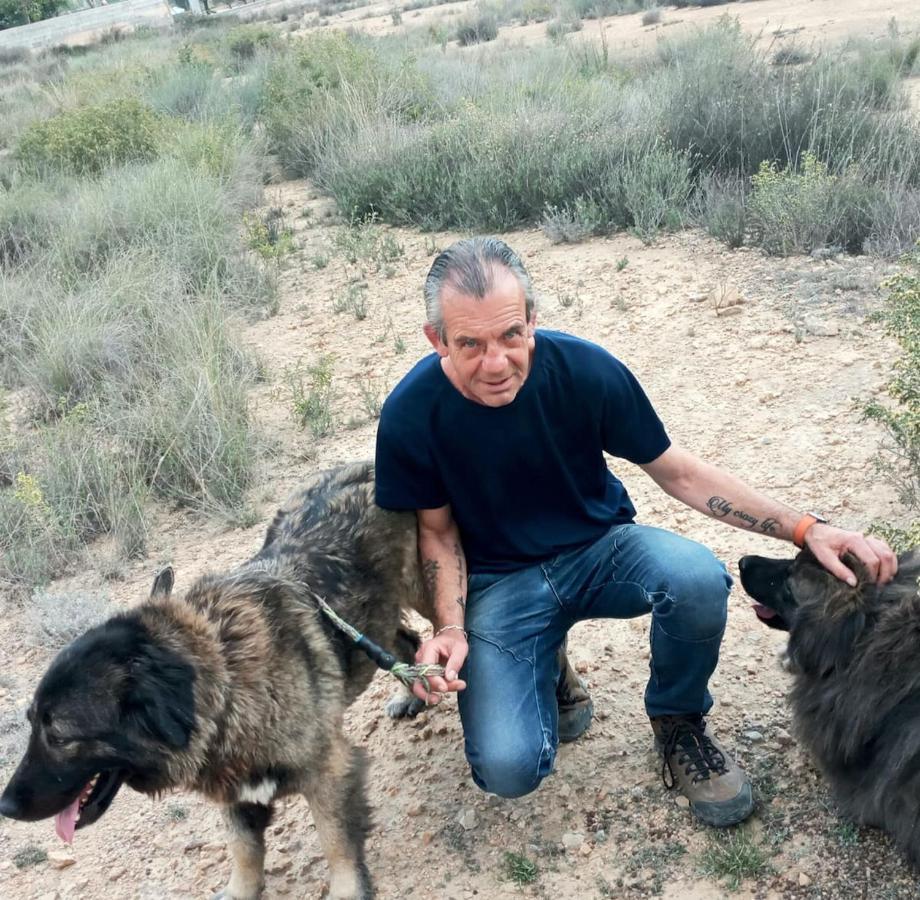 Recovery Mountain Homestay Alicante Zewnętrze zdjęcie