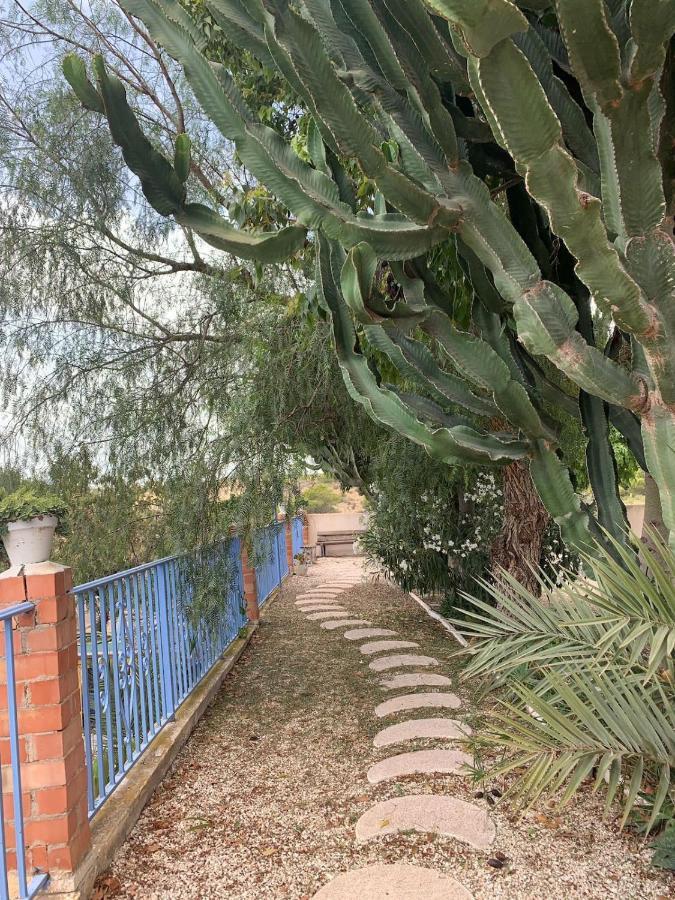 Recovery Mountain Homestay Alicante Zewnętrze zdjęcie